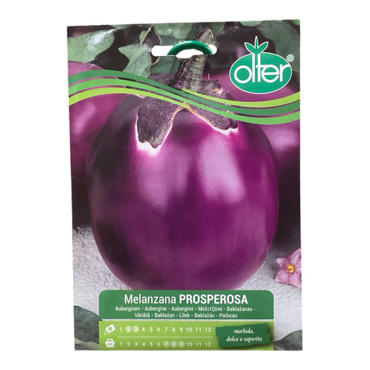 Melanzana Prosperosa Semi Olter