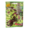 Bietola da Coste Liscia Verde da Taglio sel. Eolo Semi Four