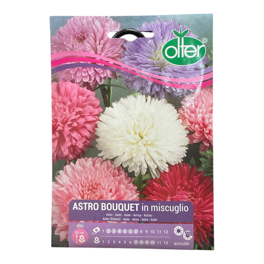 Astro Bouquet in Miscuglio Semi Olter