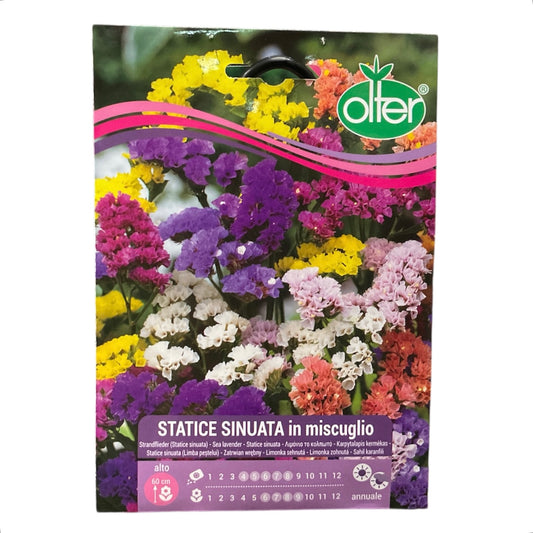 Statice Sinuata in Miscuglio Semi Olter