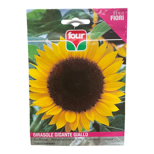 Girasole Gigante Giallo Semi Four