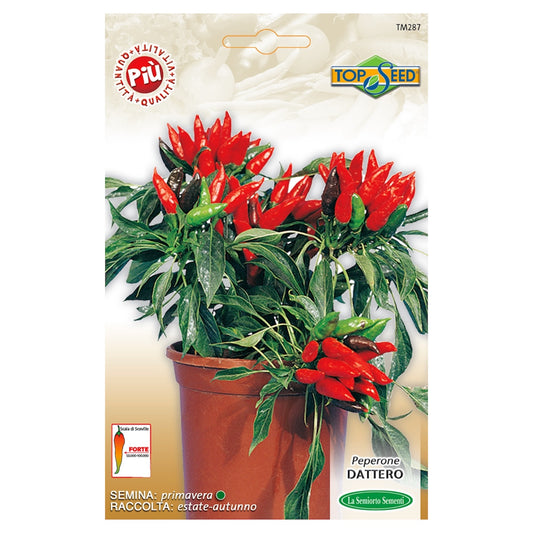 Peperone DATTERO Semi La Semiorto Sementi