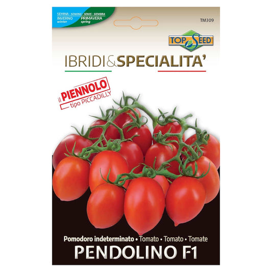 Pomodoro Indeterminato PENDOLINO F1 Semi La Semiorto Sementi