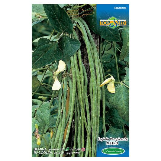 Fagiolo Rampicante METRO o STRINGA 200 Semi La Semiorto Sementi