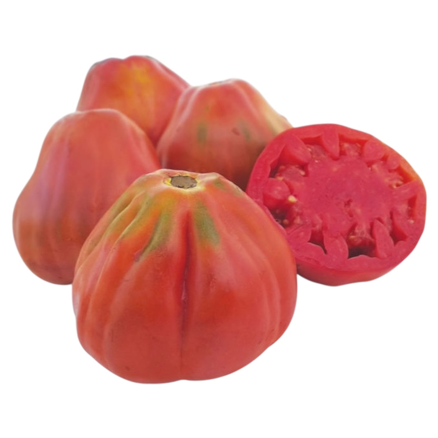 Pomodoro CANESTRINO Semi La Semiorto Sementi