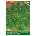 Cicoria SELVATICA DA CAMPO Semi La Semiorto Sementi
