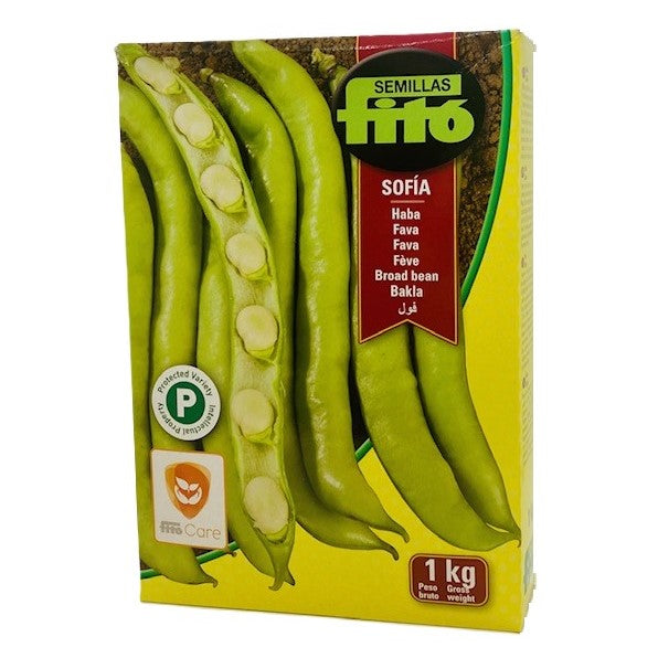 Fava Sofia Kg 1 Semi Fito