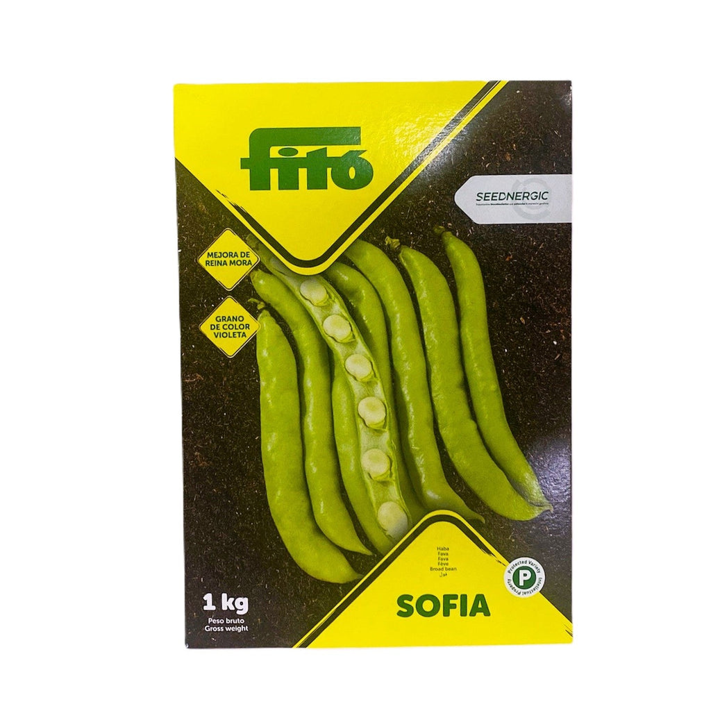 Fava Sofia Kg 1 Semi Fito