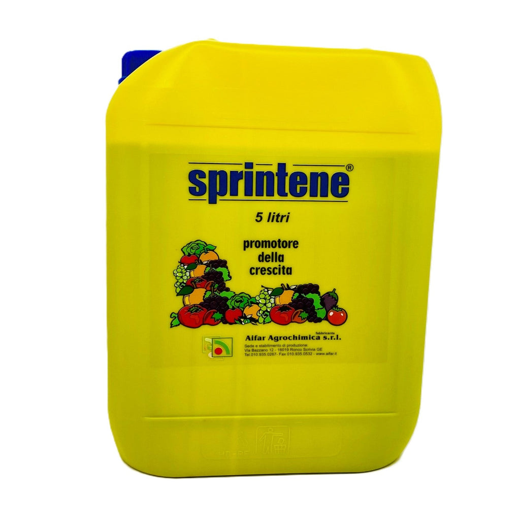 Sprintene Lt.5 Promotore della Crescita Concime Borato in Soluzione (da Boroetanolammina) Aifar