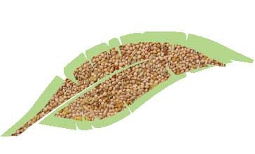 Cocorite Mix Kg.1