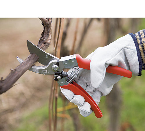 Forbice 1 Potatura Vigna a Lama Intercambiabile mm 230 Archman